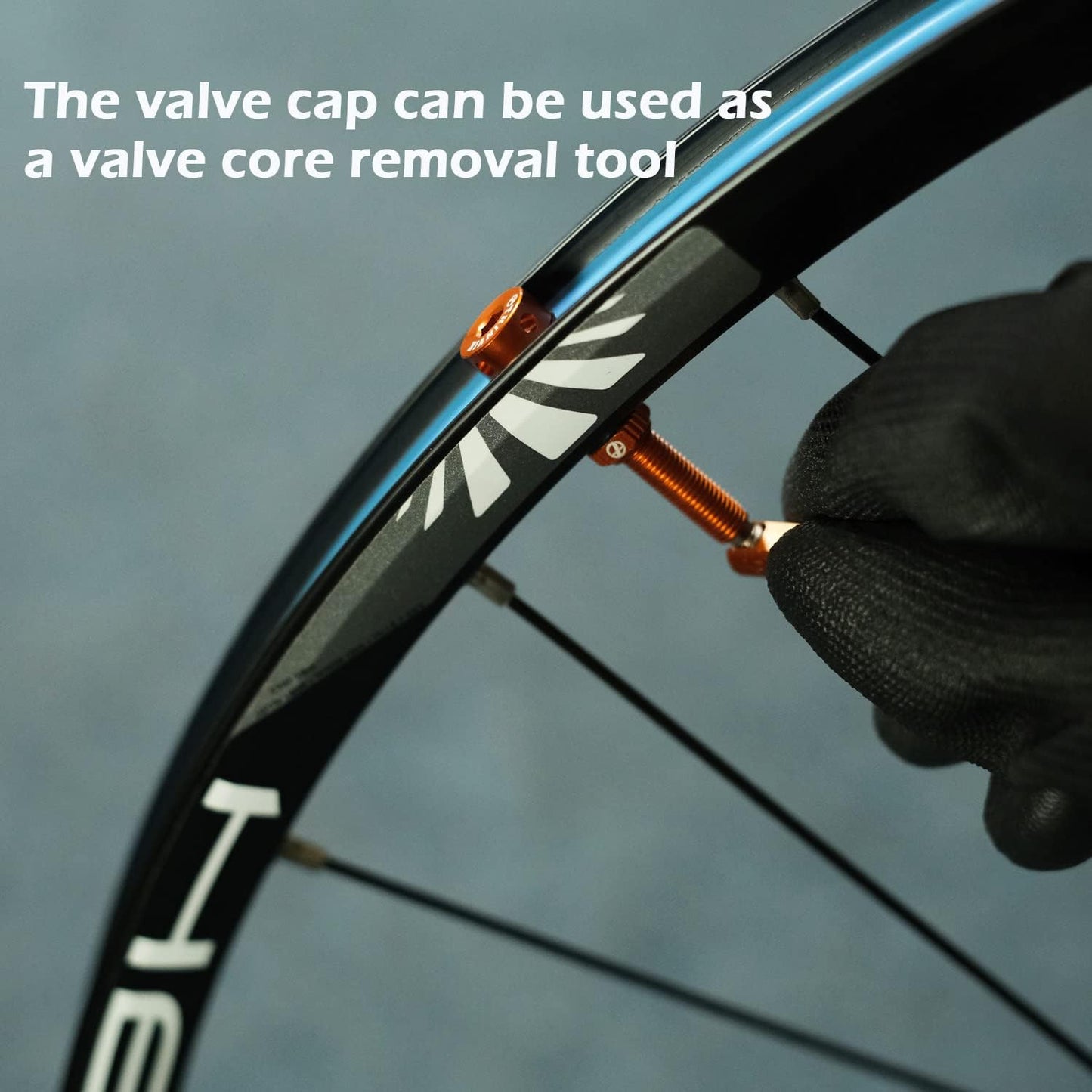 Thinvik Presta Tubeless Valve Stem 44/48/65/85/110mm,Super Light Alloy Presta Tubeless Valve Stem Kit for Tubeless Tires-2 Tubeless Valve Stem (with Aluminum Alloy Valve Cap) + Valve Core Removal Tool